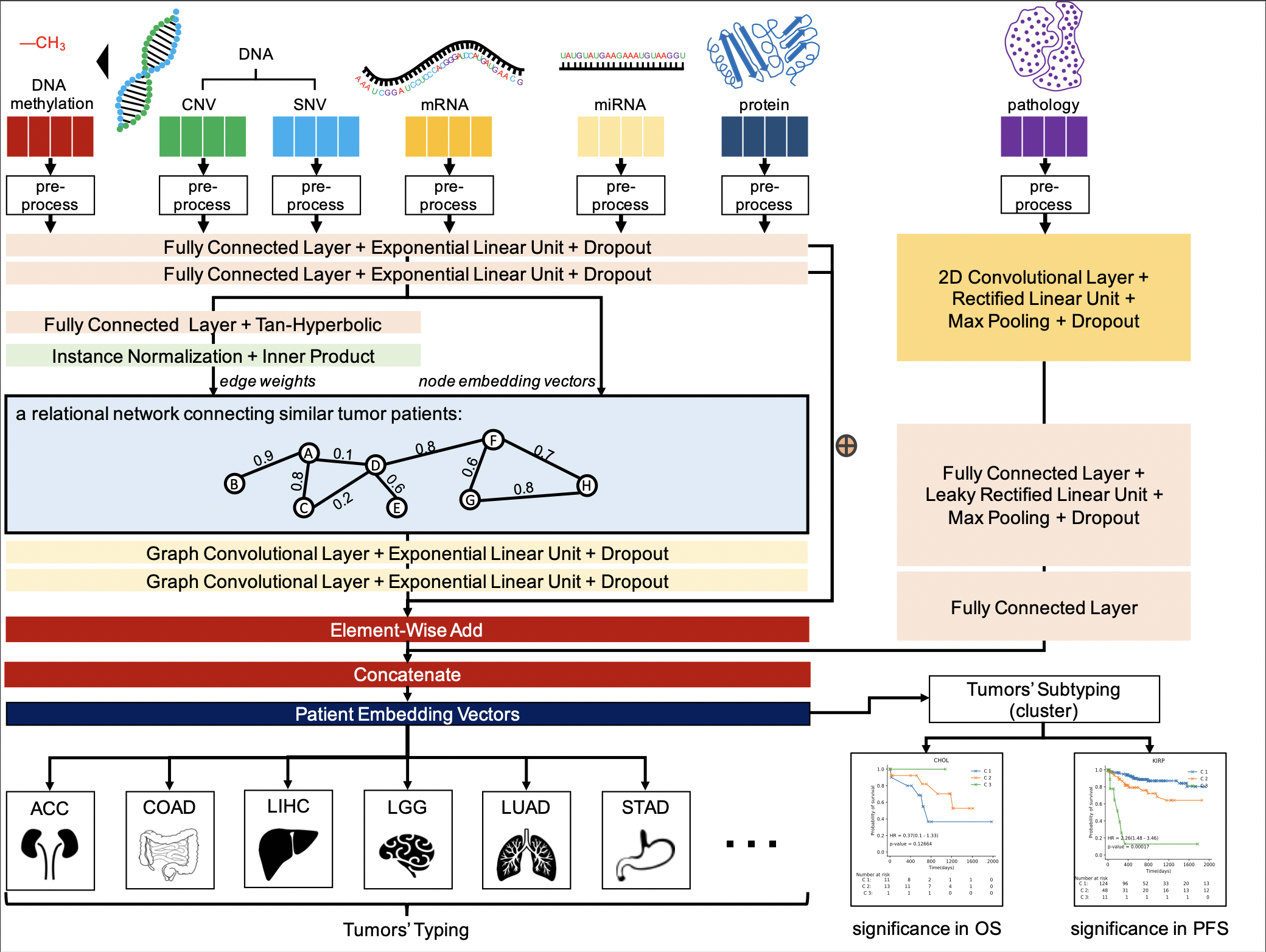 Tumor2Graph